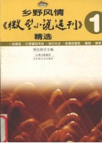 乡野风情·《微型小说选刊》精选 1