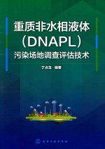 重质非水相液体（DNAPL）污染场地调查评估技术