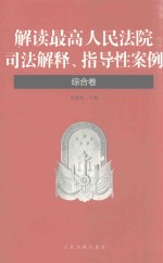 解读最高人民法院司法解释 指导性案例 综合卷