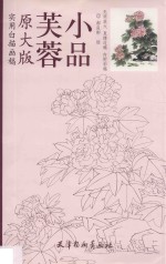 实用白描画稿 芙蓉小品