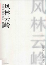 当代国画名家作品研究 赖铁骢 风林云岭