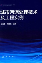 城市污泥处理技术及工程实例