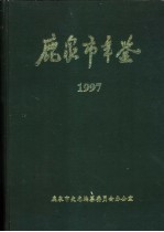 鹿泉市年鉴 1997