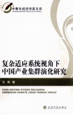 复杂适应系统视角下中国产业集群演化研究