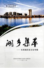 湖乡集萃 东西湖历史文化专辑