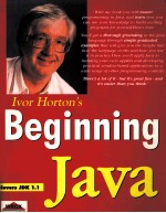 BEGINNING JAVA