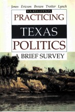 PRACTICING TEXAS POLITICS A BRIEF SURVEY/FOURTH EDITION