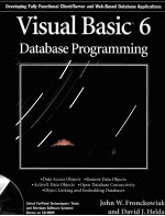 VISUAL BASIC 6 DATABASE PROGRAMMING