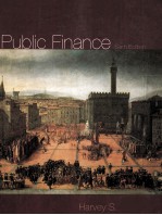 PUBLIC FINANCE SIXTH EDITION