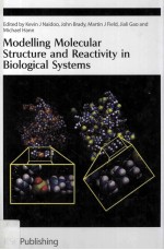 MODELLING MOLECULAR STRUCTURE AND REACTIVITY IN BIOLOGICAL SYSTEMS