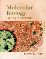 MOLECULAR BIOLOGY GENES TO PROTEINS THIRD EDITION