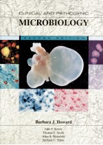 CLINICAL AND PATHOGENIC MICROBIOLOGY SECOND EDITION