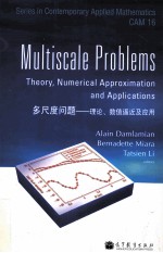 MULTISCALE PROBLEMS: THEORY