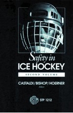 SAFETY IN ICE HOCKEY:SECOND VOLUME STP 1212