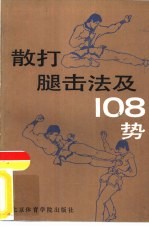 散打腿击法及180势