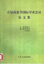 首届西夏学国际学术会议论文集