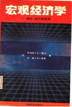 宏观经济学 理论，运行和政策