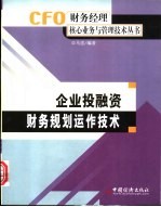 企业投融资财务规划与运作技术