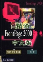 精通FrontPage 2000中文版