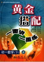 黄金搭配：一面讲一面练 初一数学 下