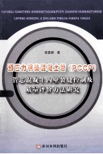 预应力钢筒混凝土管（PCCP）管芯混凝土内壁裂缝控制及质量评价方法研究