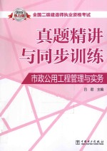 全国二级建造师执业资格考试真题精讲与同步训练 市政公用工程管理与实务 2015电力版