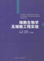 细胞生物学及细胞工程实验