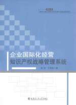 企业国际化经营知识产权战略管理系统