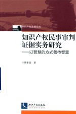 知识产权民事审判证据实务研究