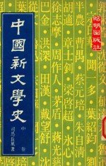 中国新文学史 中