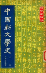 中国新文学史 上