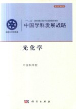 中国学科发展战略  光化学