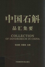 中国石斛品汇集要