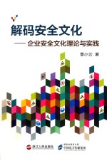 解码安全文化 企业安全文化理论与实践