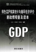 绿色GDP核算统计与循环经济评价新政绩观普及读本 第3卷