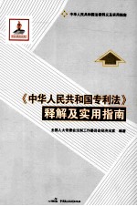 《中华人民共和国专利法》释解及实用指南