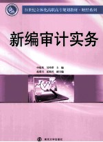 新编审计实务