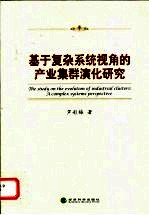 基于复杂系统视角的产业集群演化研究