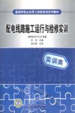 配电线路施工运行与检修实训 实训类