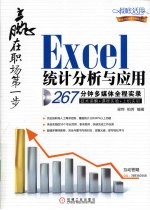 赢在职场第一步 Excel统计分析与应用267分钟多媒体全程实录