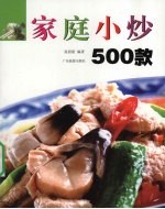 家庭小炒500款