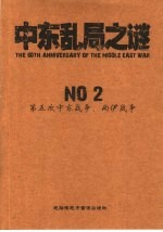 中东乱局之谜 NO 2