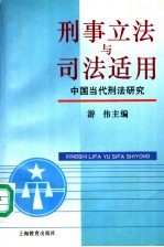 刑事立法与司法适用 中国当代刑法研究