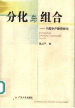 分化与组合  中国中产阶层研究