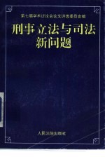 刑事立法与司法新问题 全国法院系统第七届学术讨论会优秀论文选