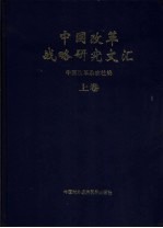 中国改革战略研究文汇 上