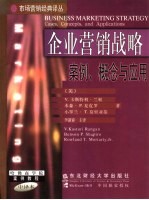 企业营销战略 案例、概念与应用