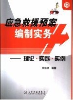 应急救援预案编制实务 理论·实践·实例