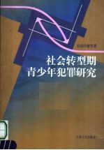 社会转型期青少年犯罪研究