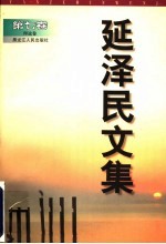 延泽民文集 第7卷 理论卷